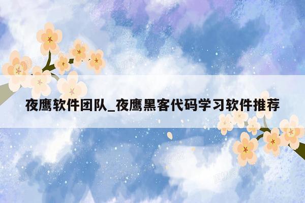 夜鹰软件团队_夜鹰黑客代码学习软件推荐
