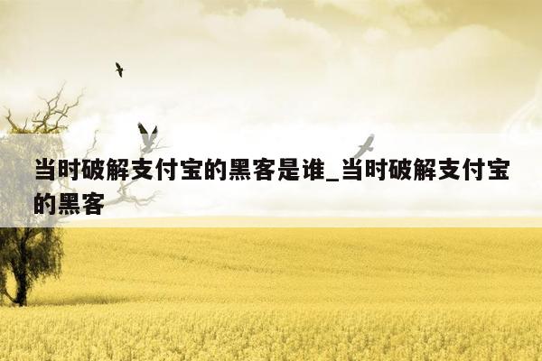 当时破解支付宝的黑客是谁_当时破解支付宝的黑客