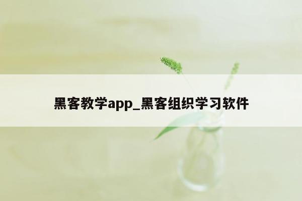 黑客教学app_黑客组织学习软件