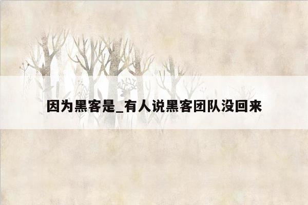 因为黑客是_有人说黑客团队没回来