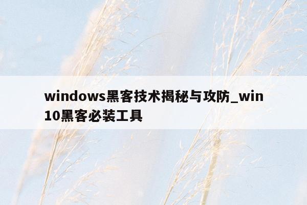 windows黑客技术揭秘与攻防_win10黑客必装工具
