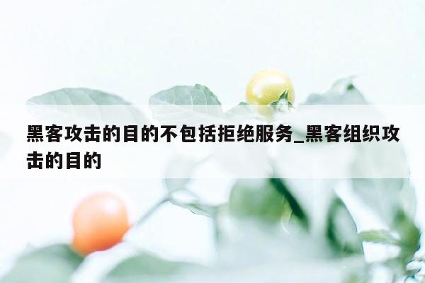 黑客攻击的目的不包括拒绝服务_黑客组织攻击的目的