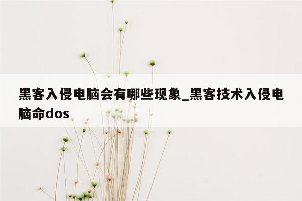 黑客入侵电脑会有哪些现象_黑客技术入侵电脑命dos