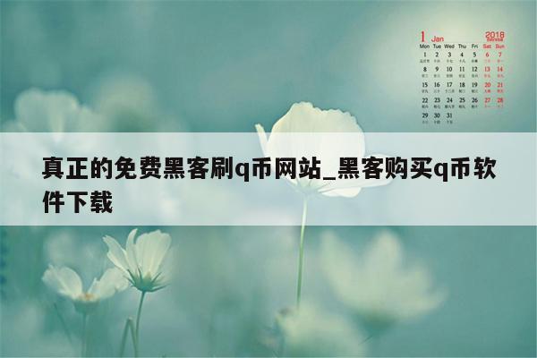 真正的免费黑客刷q币网站_黑客购买q币软件下载