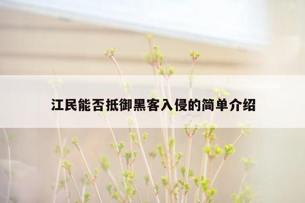 江民能否抵御黑客入侵的简单介绍