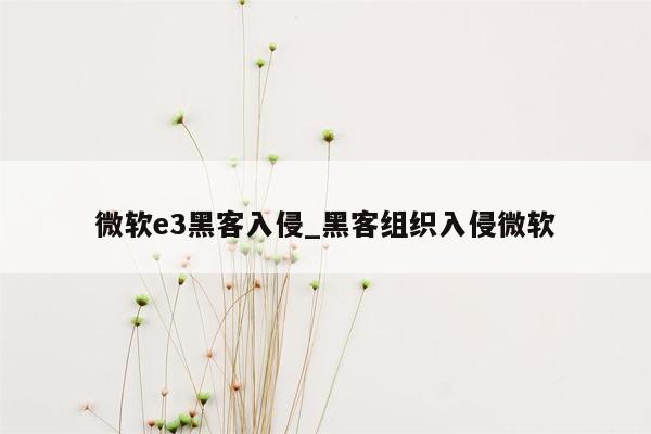 微软e3黑客入侵_黑客组织入侵微软