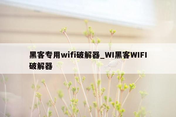 黑客专用wifi破解器_WI黑客WIFI破解器