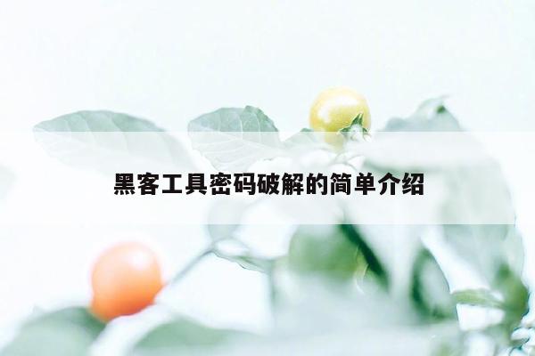 黑客工具密码破解的简单介绍