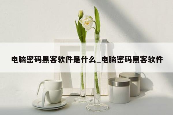 电脑密码黑客软件是什么_电脑密码黑客软件