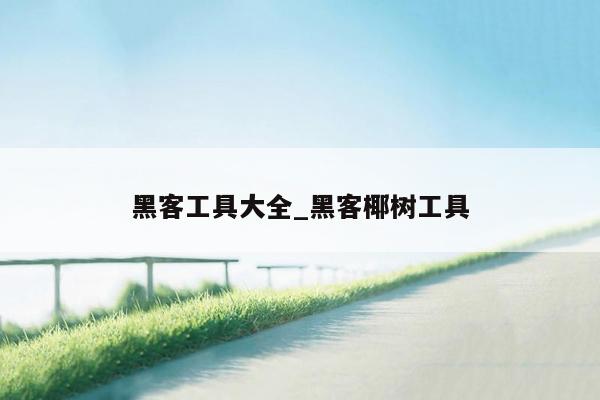 黑客工具大全_黑客椰树工具