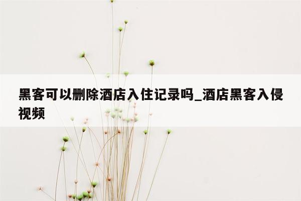 黑客可以删除酒店入住记录吗_酒店黑客入侵视频