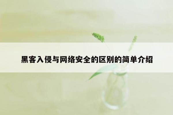 黑客入侵与网络安全的区别的简单介绍