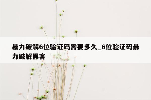 暴力破解6位验证码需要多久_6位验证码暴力破解黑客