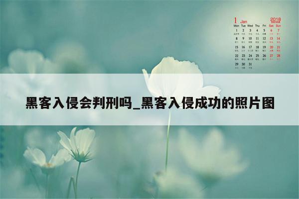 黑客入侵会判刑吗_黑客入侵成功的照片图