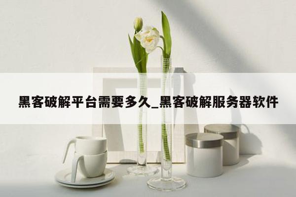 黑客破解平台需要多久_黑客破解服务器软件