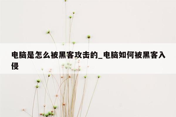 电脑是怎么被黑客攻击的_电脑如何被黑客入侵