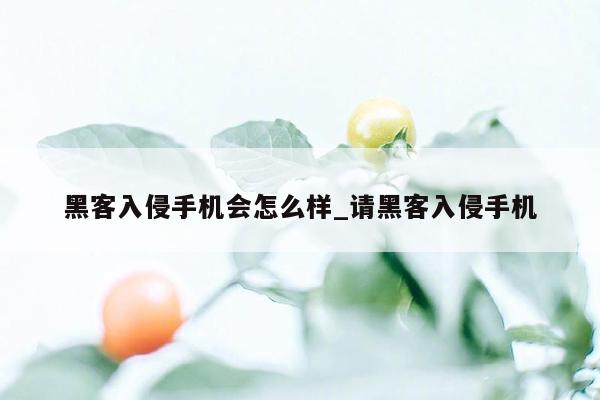 黑客入侵手机会怎么样_请黑客入侵手机