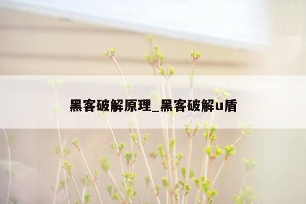 黑客破解原理_黑客破解u盾