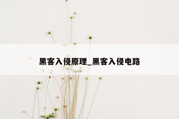 黑客入侵原理_黑客入侵电路