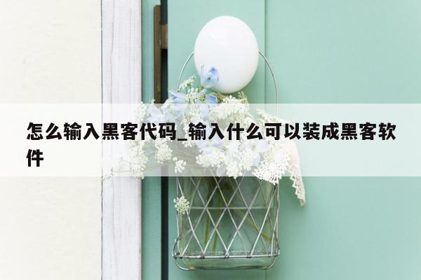 怎么输入黑客代码_输入什么可以装成黑客软件