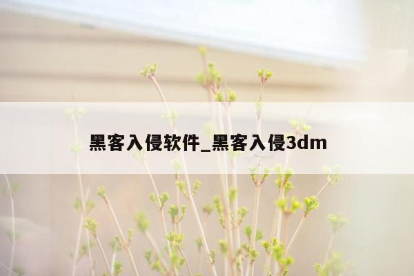 黑客入侵软件_黑客入侵3dm