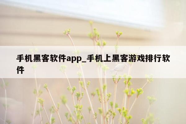 手机黑客软件app_手机上黑客游戏排行软件