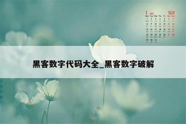 黑客数字代码大全_黑客数字破解