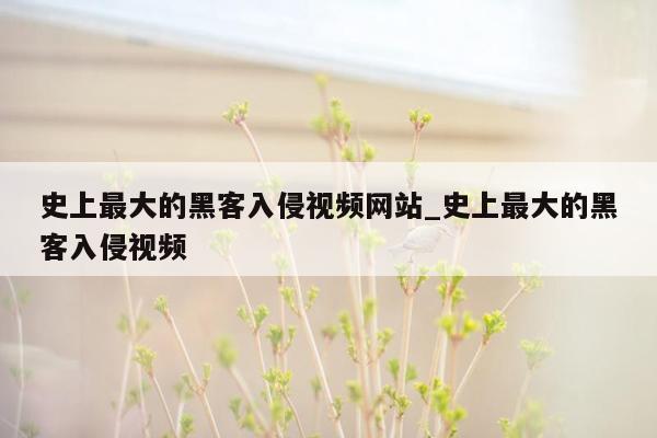 史上最大的黑客入侵视频网站_史上最大的黑客入侵视频