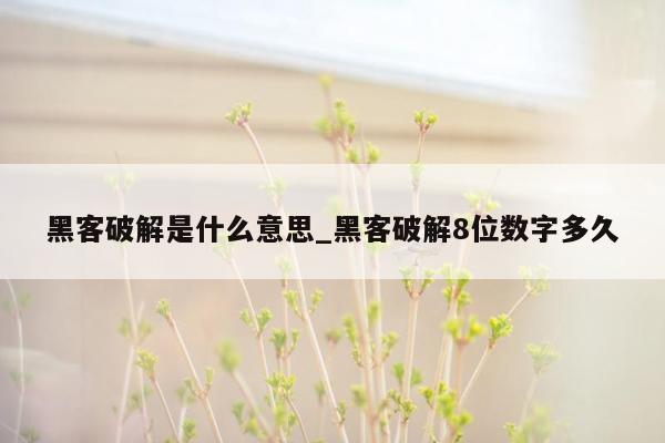 黑客破解是什么意思_黑客破解8位数字多久