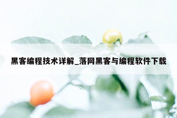 黑客编程技术详解_落网黑客与编程软件下载