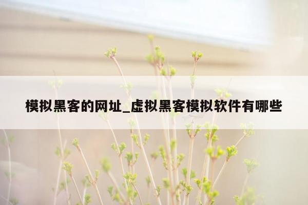 模拟黑客的网址_虚拟黑客模拟软件有哪些