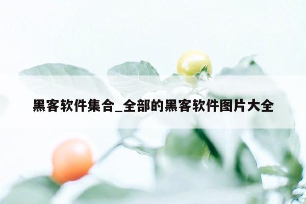 黑客软件集合_全部的黑客软件图片大全