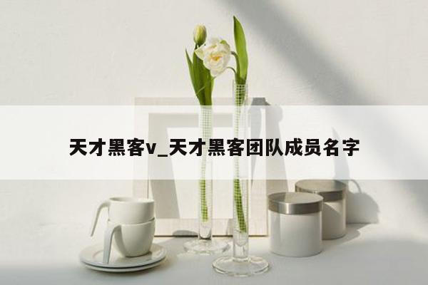 天才黑客v_天才黑客团队成员名字