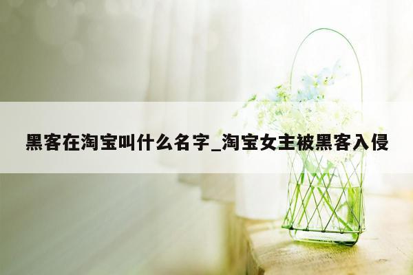 黑客在淘宝叫什么名字_淘宝女主被黑客入侵