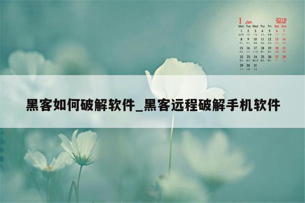 黑客如何破解软件_黑客远程破解手机软件