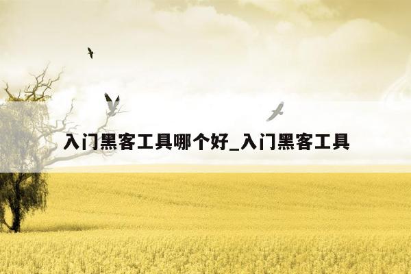 入门黑客工具哪个好_入门黑客工具