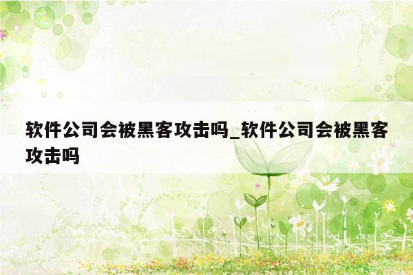 软件公司会被黑客攻击吗_软件公司会被黑客攻击吗