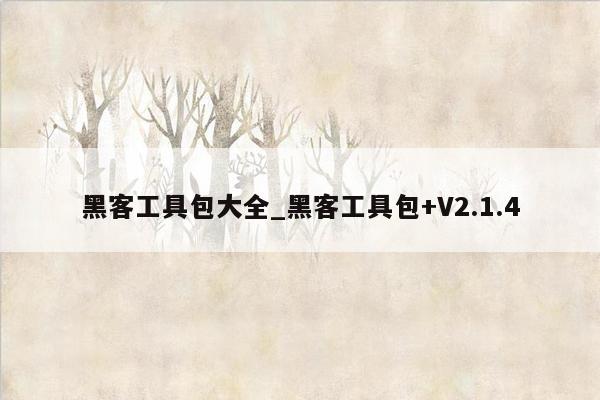 黑客工具包大全_黑客工具包+V2.1.4