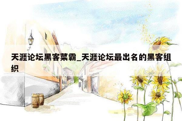 天涯论坛黑客菜霸_天涯论坛最出名的黑客组织