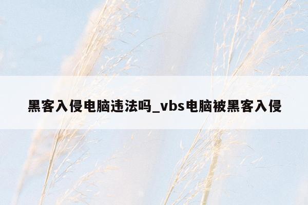 黑客入侵电脑违法吗_vbs电脑被黑客入侵