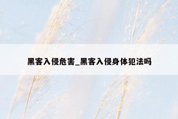 黑客入侵危害_黑客入侵身体犯法吗