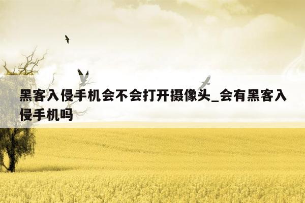 黑客入侵手机会不会打开摄像头_会有黑客入侵手机吗