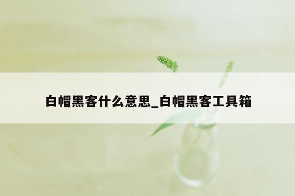白帽黑客什么意思_白帽黑客工具箱