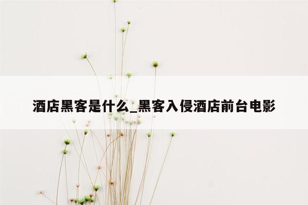 酒店黑客是什么_黑客入侵酒店前台电影