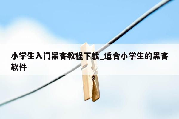 小学生入门黑客教程下载_适合小学生的黑客软件