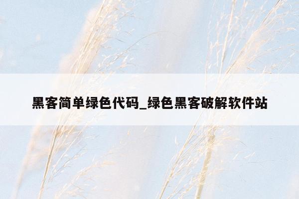 黑客简单绿色代码_绿色黑客破解软件站