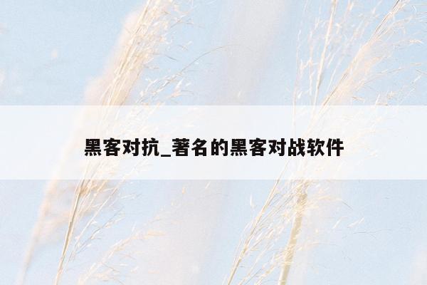 黑客对抗_著名的黑客对战软件