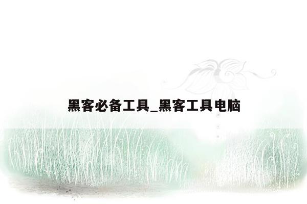 黑客必备工具_黑客工具电脑