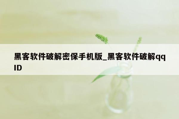 黑客软件破解密保手机版_黑客软件破解qqID