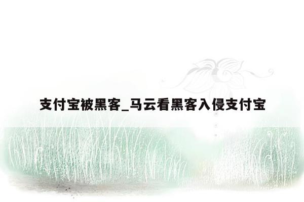支付宝被黑客_马云看黑客入侵支付宝